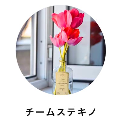 チームステキノ