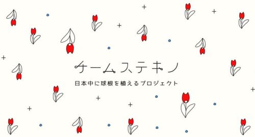 チームステキノプログラム